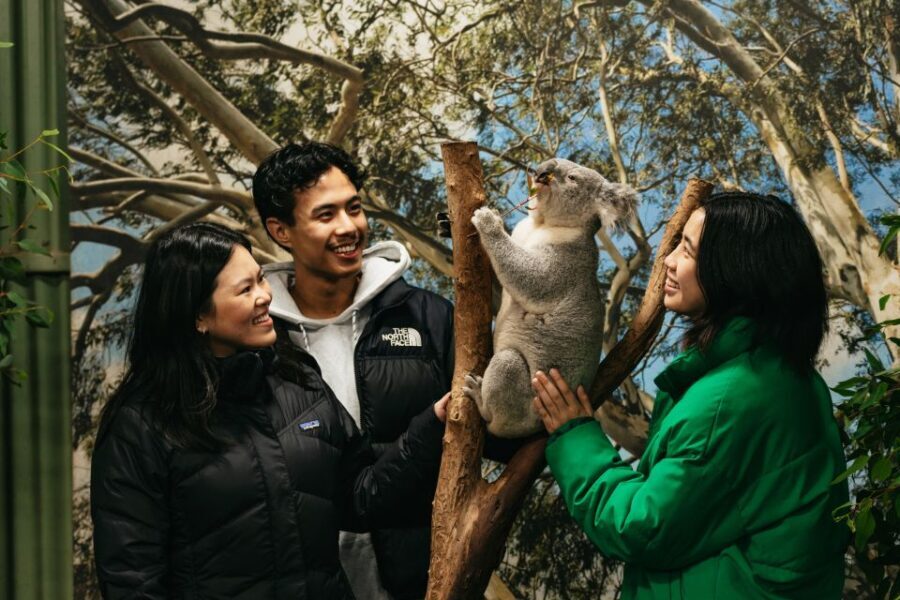 Sydney: Blue Mountains Wildlife & Bushwalk Small-Group Tour - Transportation & Group Size