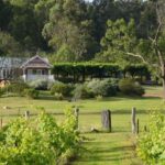 Sydney: Chef-Led Hunter Valley Food & Wine Tour - The Value of This Tour