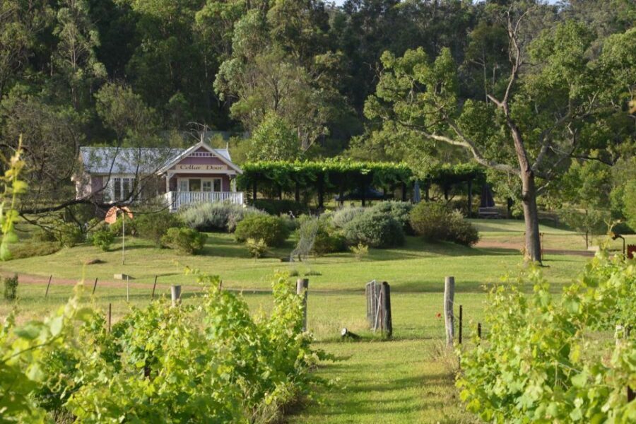 Sydney: Chef-Led Hunter Valley Food & Wine Tour - The Value of This Tour