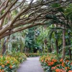 Sydney: City Hike with Opera Bar Lunch - Key Points
