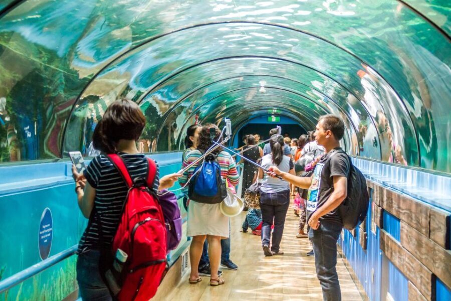 Sydney: Combo Pass for 2, 3, or 4 Top City Attractions - Why This Combo Pass is a Smart Choice