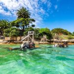 Sydney: Discover Scuba Dive at Australia's most Iconic Beach - The Itinerary in Detail