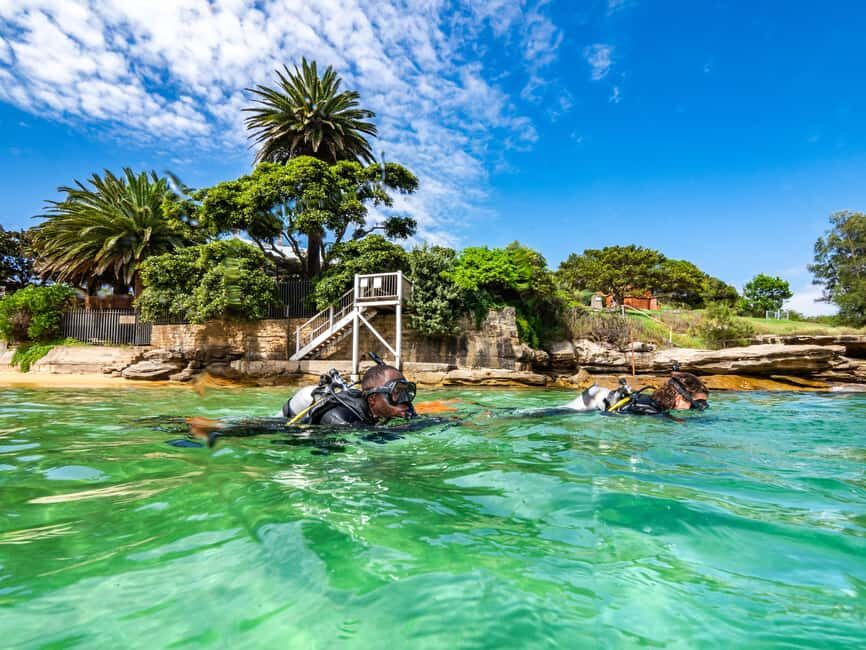 Sydney: Discover Scuba Dive at Australia's most Iconic Beach - The Itinerary in Detail