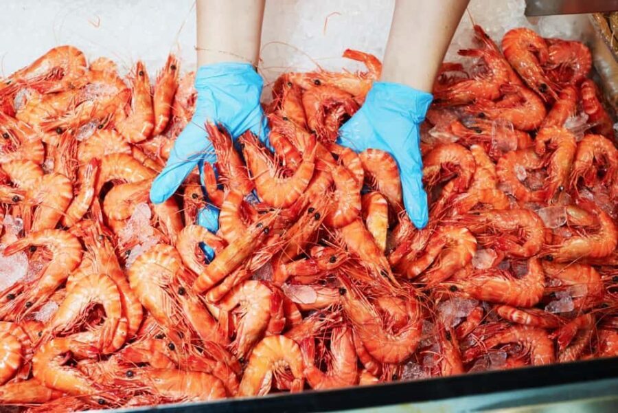 Sydney: Fish Market Food Tour - What to Expect: A Close Look at the Experience