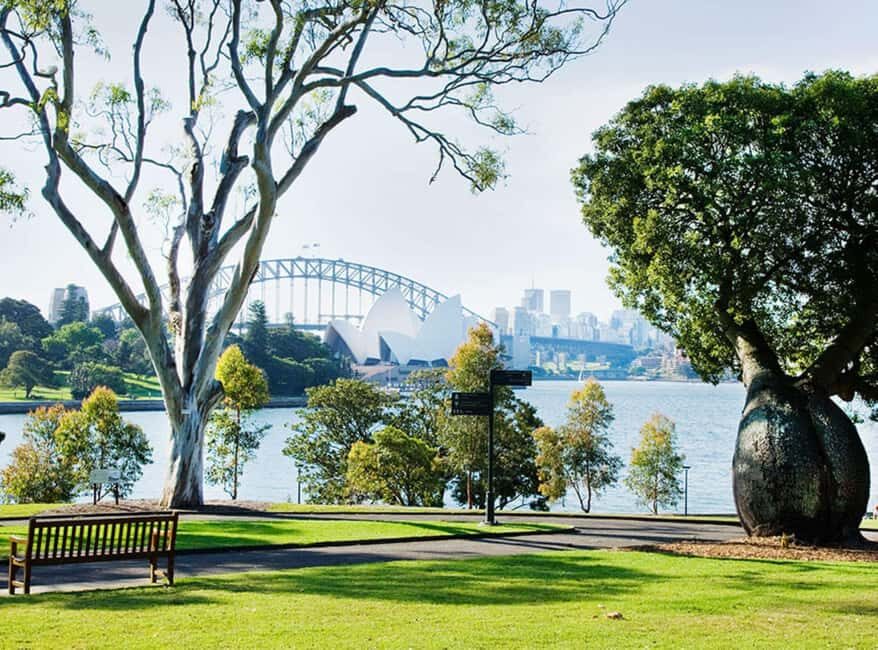 Sydney: Guided Hike with Picnic Lunch and Painting Session - The Historic District of The Rocks