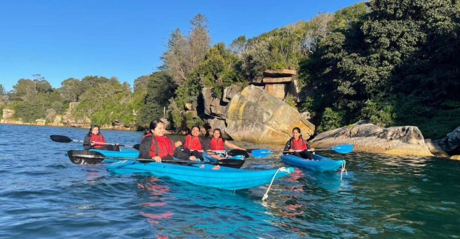 Sydney: Guided Kayak Tour of Manly Cove Beaches - Authentic Insights from Reviewers