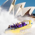 Sydney Harbour: 45-Minute Extreme Adrenaline Rush Ride - What to Expect During the Ride