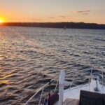 Sydney Harbour Discovery Dinner Cruise Scenic Sights and Buffet - The Experience: A Detailed Look
