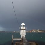 Sydney Highlights Half Day Tour - Insights from Tour Participants