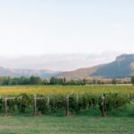Sydney Hunter Valley Private Wine Tour with Tastings and Lunch - Exploring the Charm of Peppers Creek Village