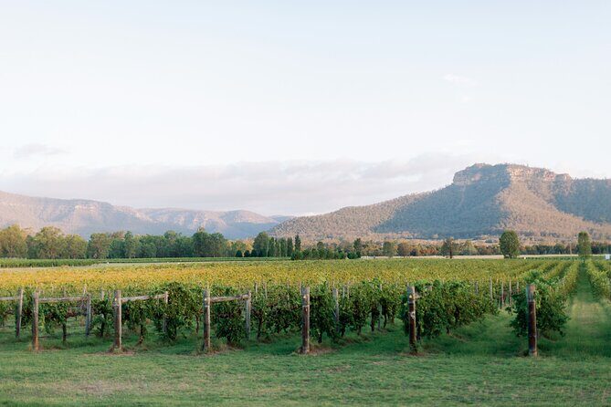 Sydney Hunter Valley Private Wine Tour with Tastings and Lunch - Exploring the Charm of Peppers Creek Village