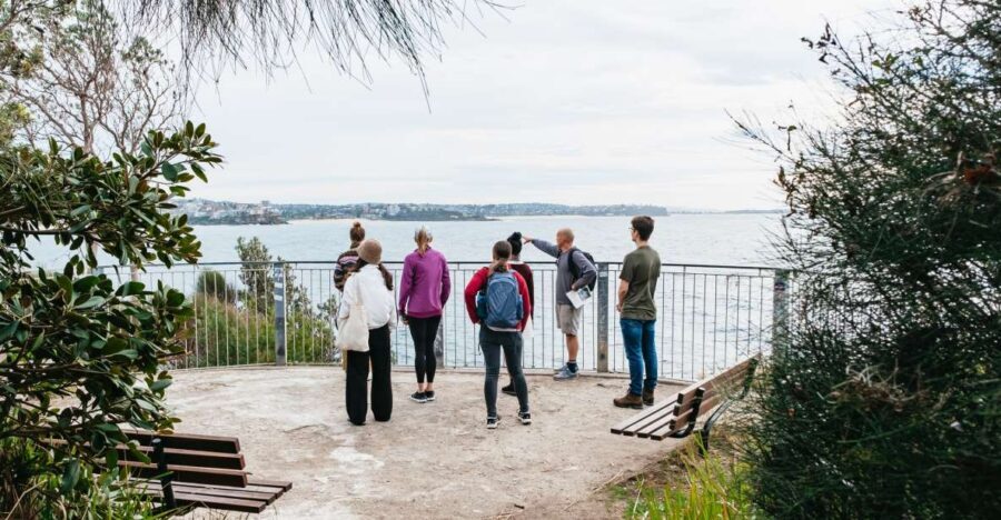 Sydney: Manly and Shelly Beach Snorkeling Tour - An In-Depth Look at the Experience