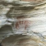 Sydney: Northern Beaches and Ku-ring-gai National Park Tour - FAQ