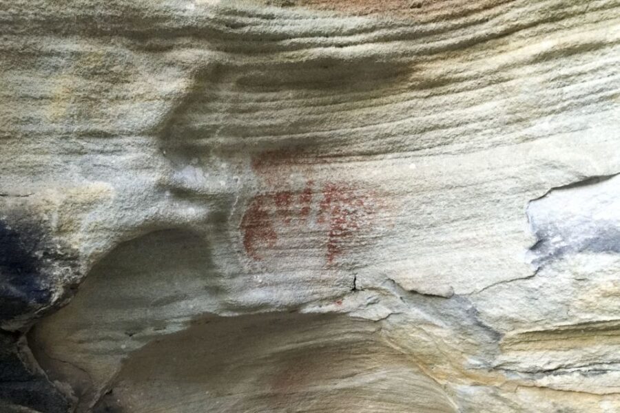 Sydney: Northern Beaches and Ku-ring-gai National Park Tour - FAQ