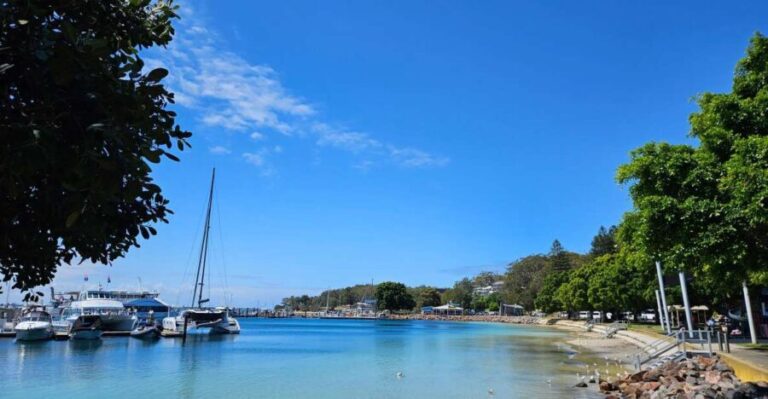 Sydney Port stephens - What Makes This Tour Special?