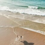 Sydney: Port Stephens Private Day Tour - How the Day Unfolds: An In-Depth Look