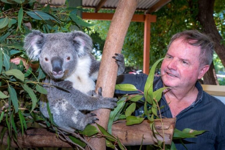 Sydney: Private Blue Mountains, Waterfalls, Walks & Meals - What the Tour Includes and Why It Matters