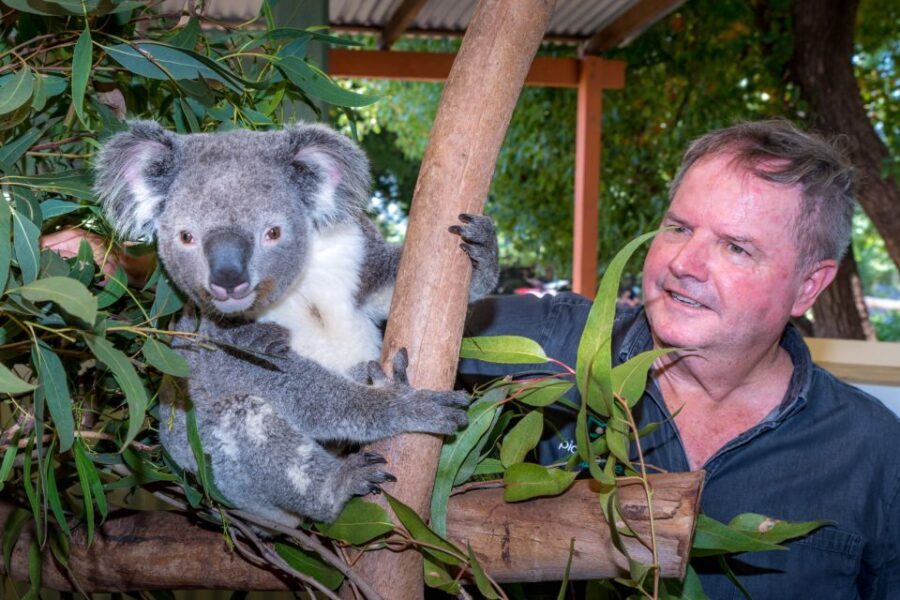 Sydney: Private Blue Mountains, Waterfalls, Walks & Meals - What the Tour Includes and Why It Matters