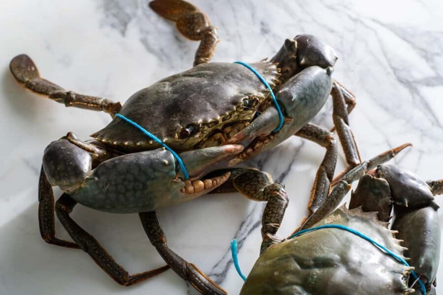 Sydney: Singapore Chilli Mud Crab Cooking Class - Practical Tips for a Seamless Experience