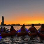Sydney: Sunset Kayak Tour on Sydney Harbour - What to Expect on the Tour