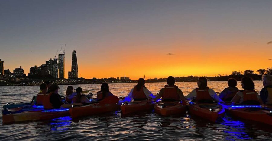 Sydney: Sunset Kayak Tour on Sydney Harbour - What to Expect on the Tour