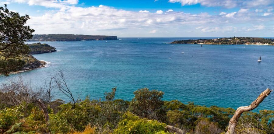 Sydney: Taronga to Balmoral Walk with picnic at Balmoral - FAQ