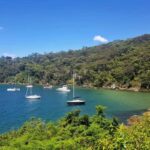 Sydney: Taronga zoo to Balmoral Walk with Ala carte Lunch - Practical Details & What to Keep in Mind