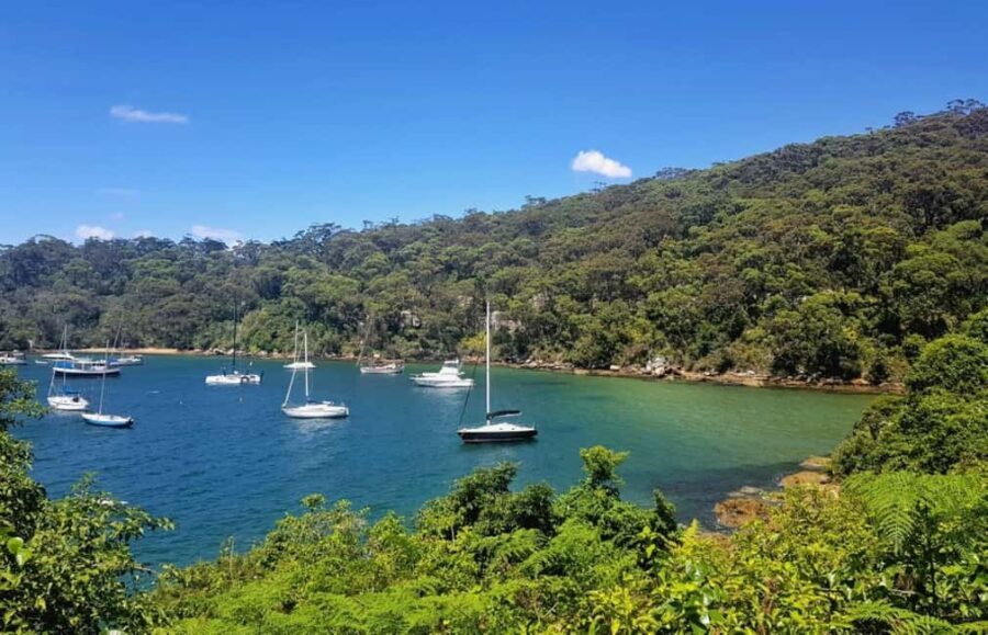 Sydney: Taronga zoo to Balmoral Walk with Ala carte Lunch - Practical Details & What to Keep in Mind
