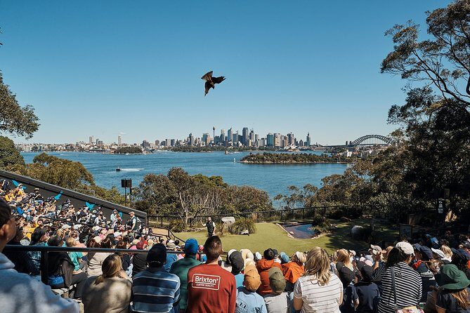 Sydney Taronga Zoo's Aussie Backyard Adventure Tour - Practical Details that Enhance Your Visit