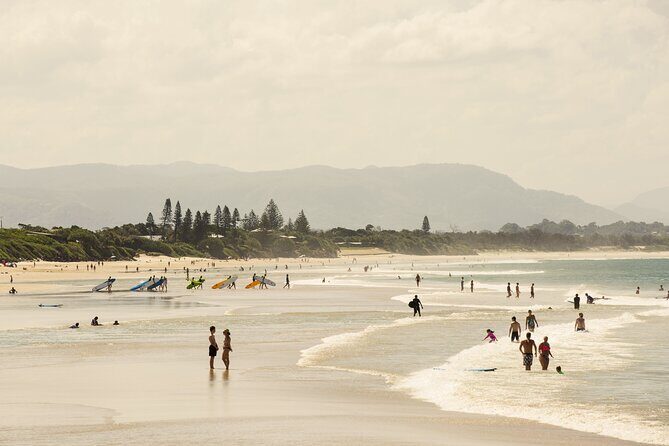 Sydney to Byron Bay Pacific Coast Road Trip - Overall Value and Experience