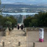 Sydney to Canberra Private Transfer With Chauffeur Driven Cars - Why This Private Transfer Offers Real Value