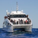 Sydney Whale Watching - 2.5hr Discovery Cruise - Detailed Overview of the Sydney Whale Watching Experience