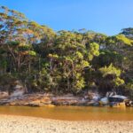 Sydney Woollongong and Kiama tour (Private) - Who Will Love This Tour?