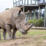 Sydney Zoo Admission Ticket - How Does Sydney Zoo Compare?