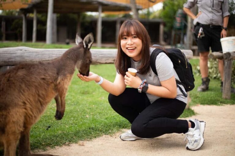 Sydney: Zoo, Blue Mountains and Scenic World Mandarin Tour - FAQ
