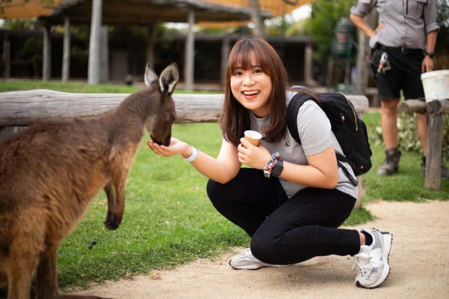 Sydney: Zoo, Blue Mountains and Scenic World Mandarin Tour - FAQ