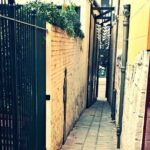 Sydney's Convict and Colonial Past An Evening Walking Tour - Practical Insights