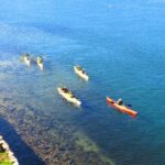 Sydney's Middle Harbour Sea Kayaking Eco Tour (Fully Guided) - The Experience: Nature, Wildlife, and Personal Touches