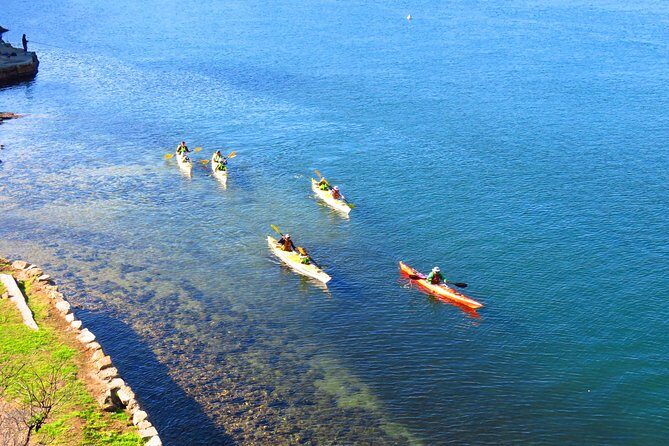 Sydney's Middle Harbour Sea Kayaking Eco Tour (Fully Guided) - The Experience: Nature, Wildlife, and Personal Touches