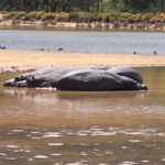 Table Mountain and Aquilla Game Reserve Sunset Safari - What’s Included and What to Keep in Mind