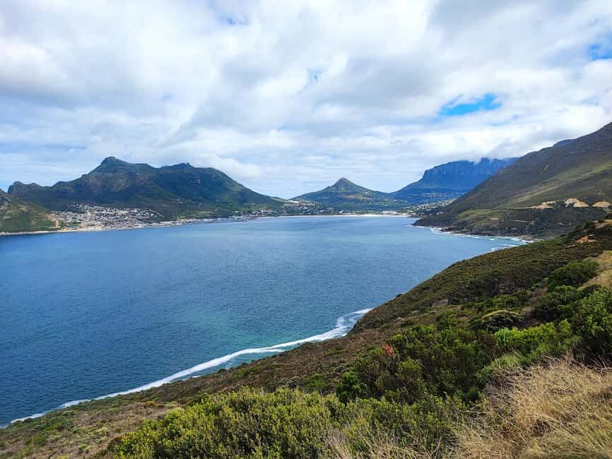 Table Mountain and Cape of Good Hope Day Tour - What Makes This Tour Stand Out