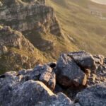 Table Mountain and Cape of Good Hope: Private Full Day Tour - Who Would Love This Tour?