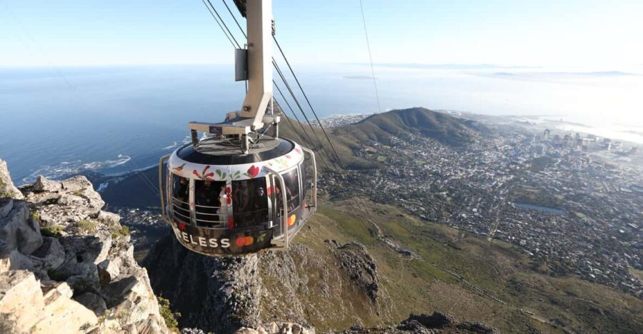 Table Mountain Boulder's Beach and Cape Point - What Makes This Tour Stand Out