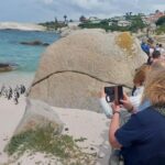 Table Mountain, Cape of Good Hope and Sightseeing Tour - Who Should Consider This Tour?