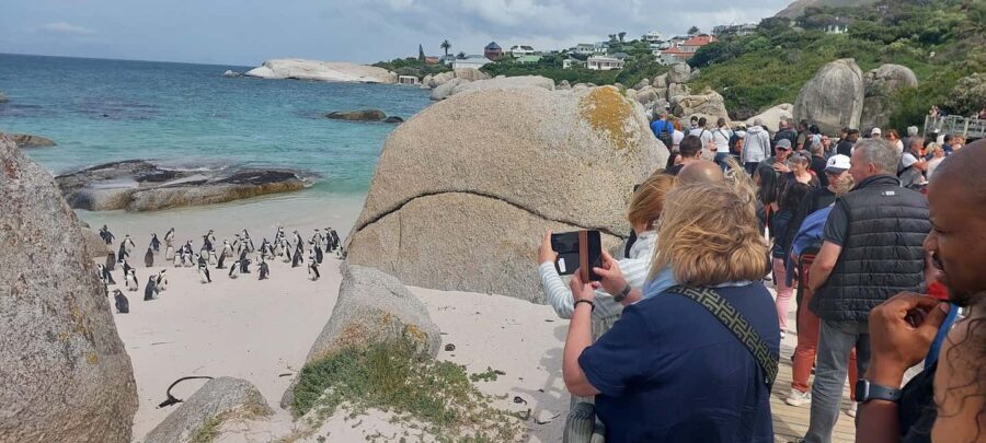 Table Mountain, Cape of Good Hope and Sightseeing Tour - Who Should Consider This Tour?