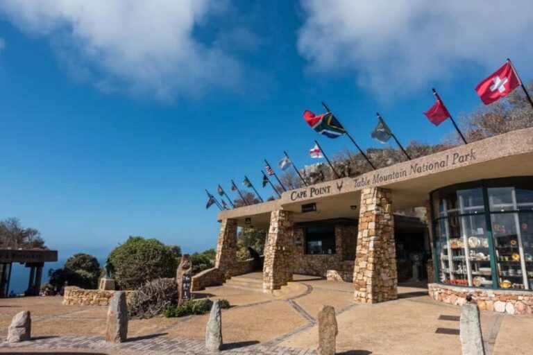 Table Mountain, Cape of Good Hope & Penguins Shared Tour - Detailed Breakdown of the Itinerary