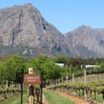 Table Mountain & Constantia Wine Estate Private Combo Tour - A Full Breakdown of the Tour Experience