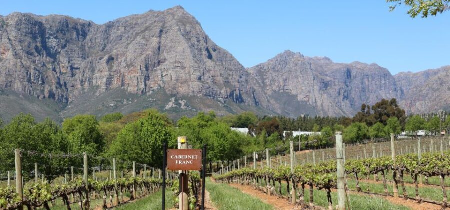 Table Mountain & Constantia Wine Estate Private Combo Tour - A Full Breakdown of the Tour Experience