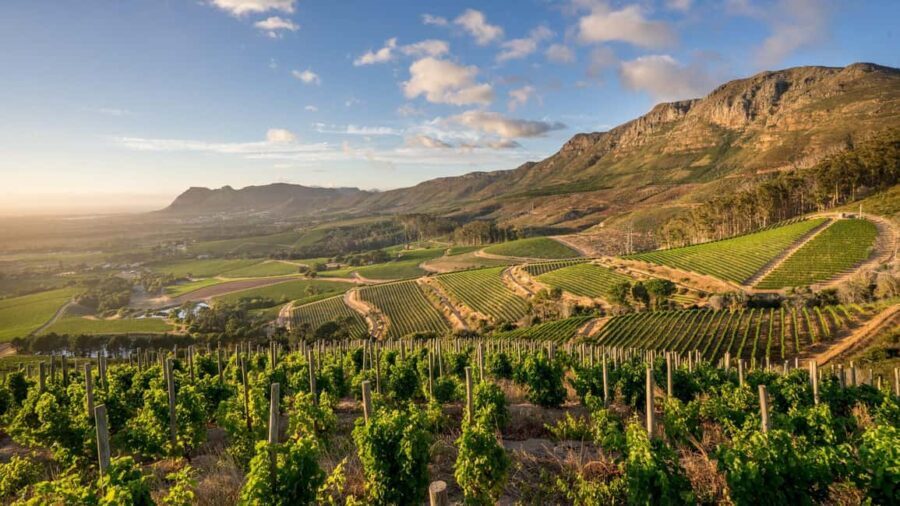 Table Mountain & Constantia Wine Tasting Full Day Tour - The Sum Up