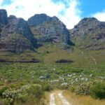 Table Mountain: Easy walk for the Whole Family - PRIVATE - An Overview of the Experience